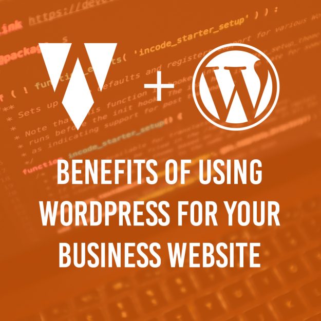 WordPress Website Developer